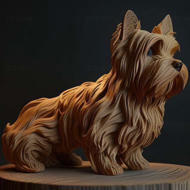 3D model Australian Silky Terrier dog (STL)